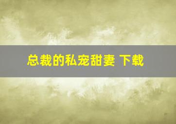 总裁的私宠甜妻 下载